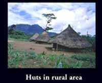 Rural hut
